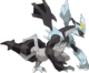 Kyurem Noir