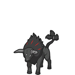 Tauros de Paldea (Race Flamboyante)